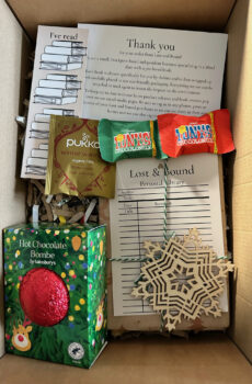 Christmas Blind Date with a book box (Adult)